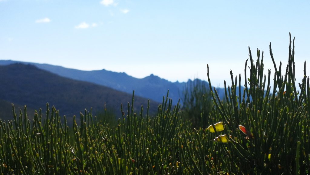La Bola del Mundo – Navacerrada
